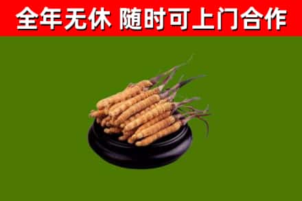 永兴县烟酒回收冬虫夏草.jpg