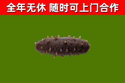 永兴县烟酒回收干海参.jpg